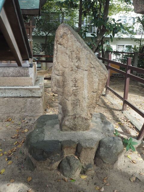 44aP_PB066357.jpg