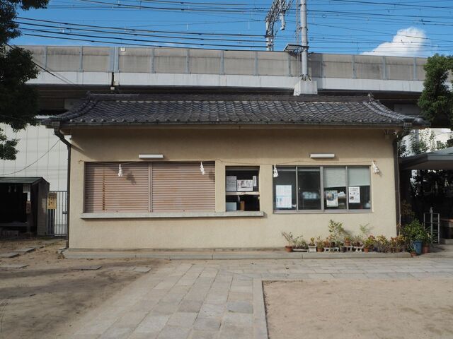 44aP_PB066514.jpg