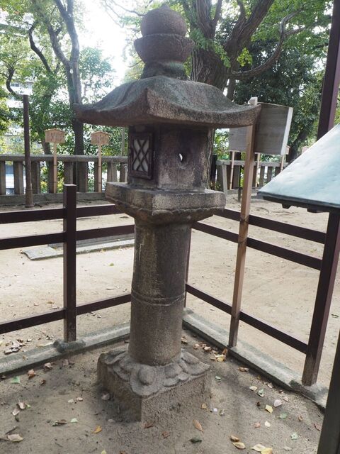 45aP_PB066361.jpg