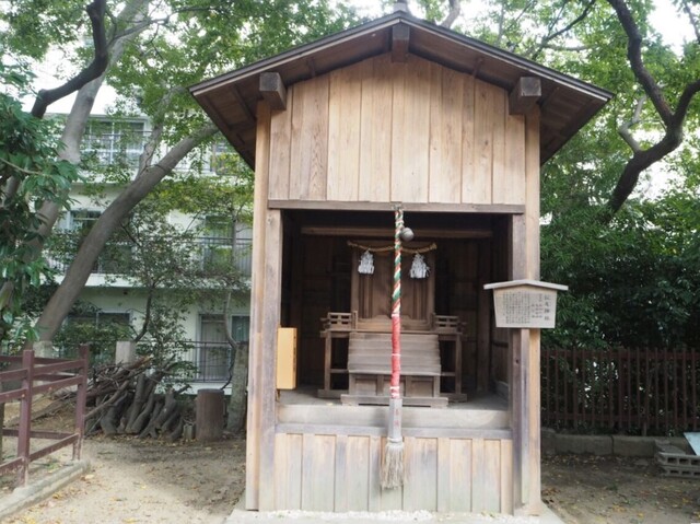 47aP_PB066365.jpg