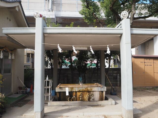 47aP_PB066517.jpg
