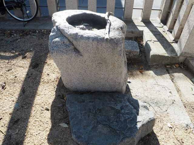 48aP_PB065819.jpg