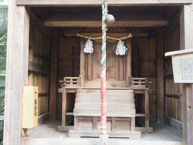 48aP_PB066366.jpg