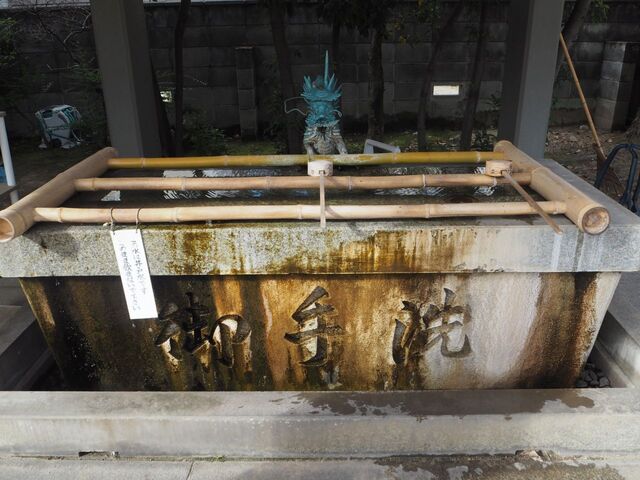 48aP_PB066520.jpg