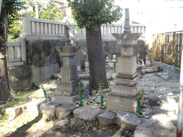 49aP_PB066011.jpg