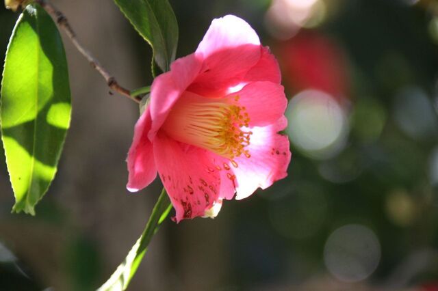 4UP_IMG_7043.jpg