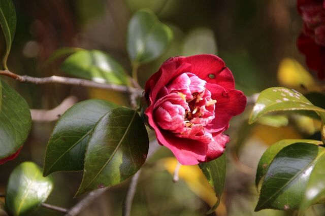 4UP_IMG_7170.jpg