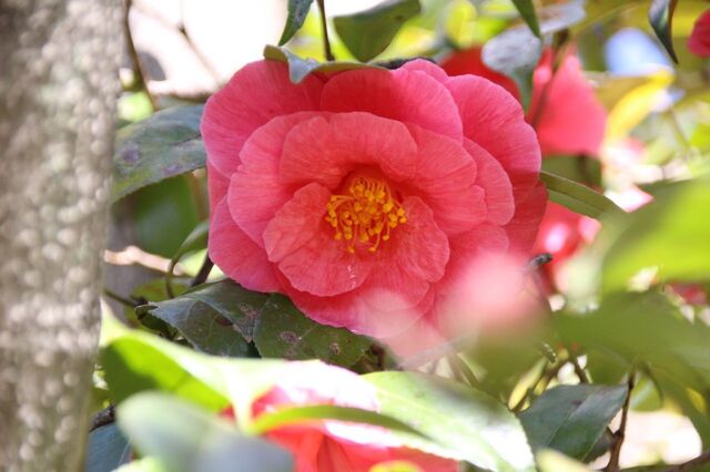 4UP_IMG_7558.jpg