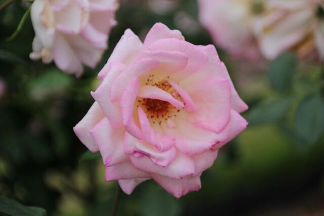 4aP_IMG_7313.jpg