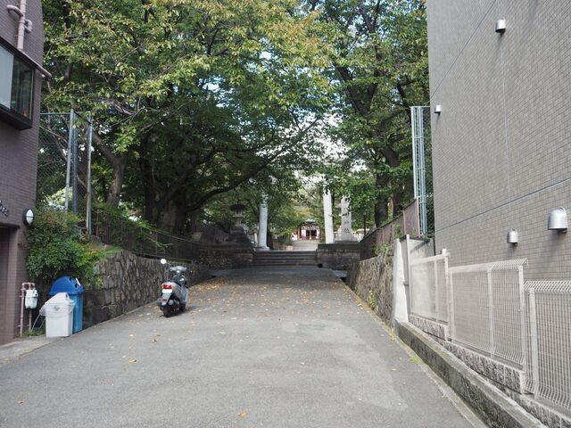 4aP_PB066108.jpg