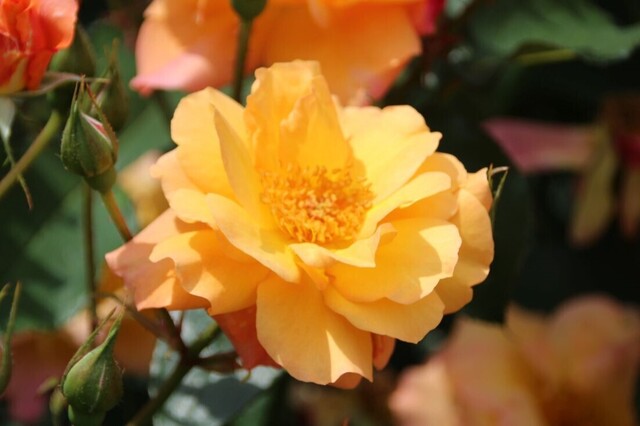 4bP_IMG_0539.jpg