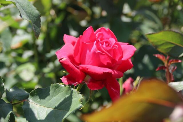 4bP_IMG_0769.jpg