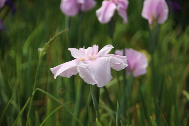4bP_IMG_2316.jpg
