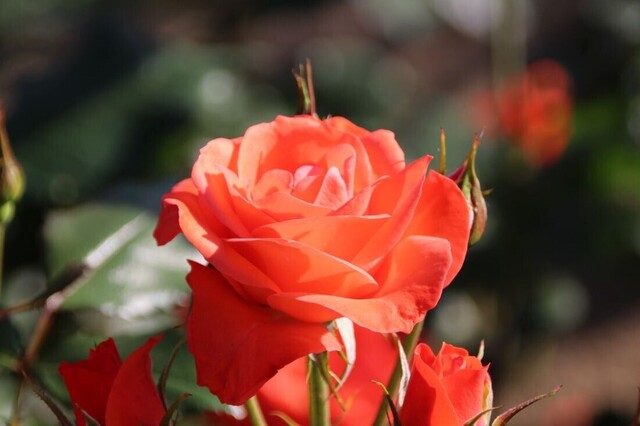 4bP_IMG_2580.jpg