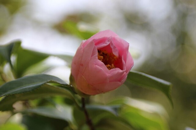 4bP_IMG_3664.jpg