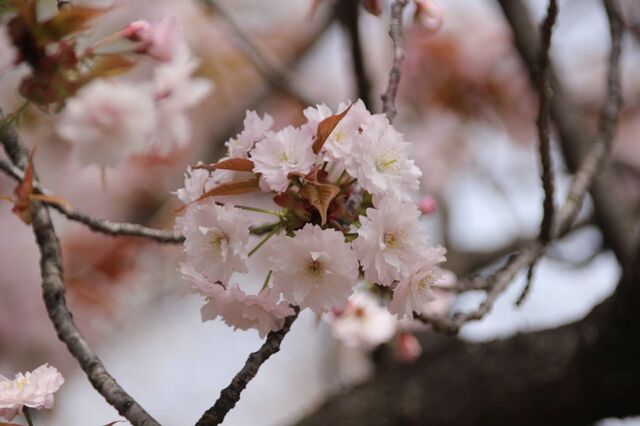 4bP_IMG_4727.jpg