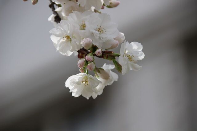 4bP_IMG_4777.jpg