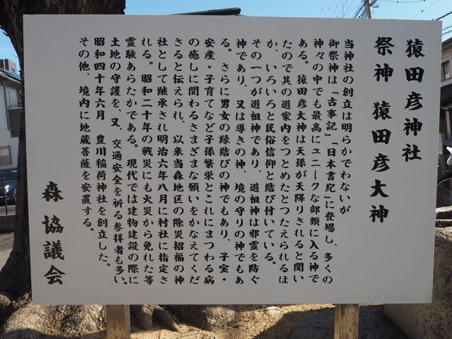 50aP_PB065784.jpg