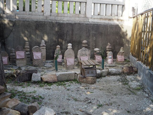 50aP_PB066013.jpg