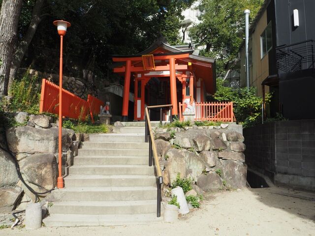 51aP_PB066388.jpg