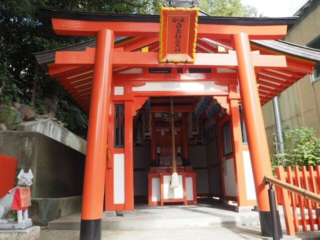 52aP_PB066390.jpg