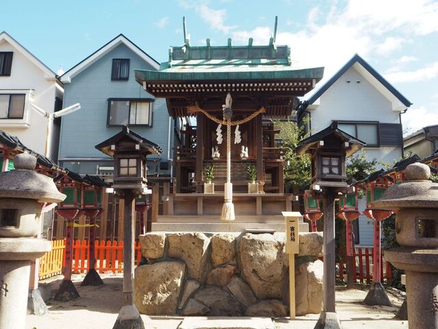 54aP_PB066058.jpg