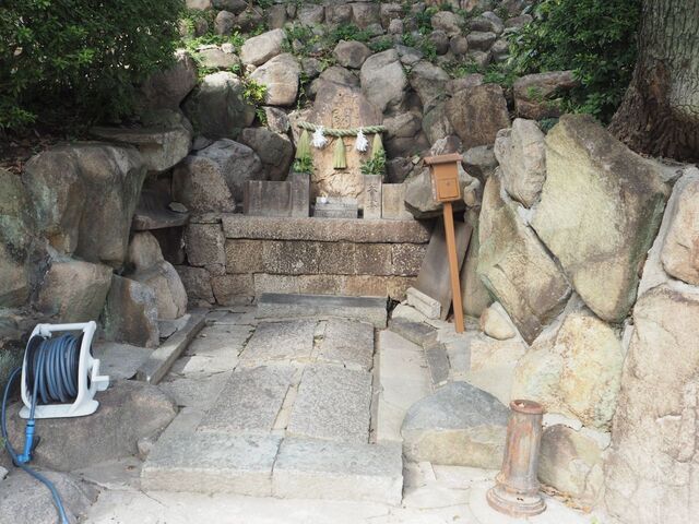 55aP_PB066289.jpg