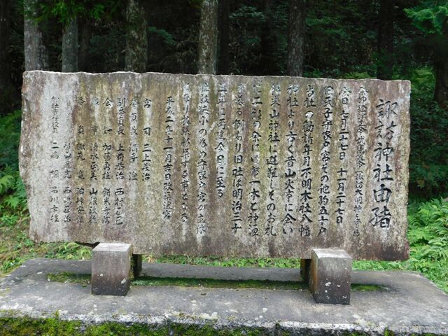 56aP_DSCN1295.jpg