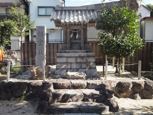56aP_PB066063.jpg
