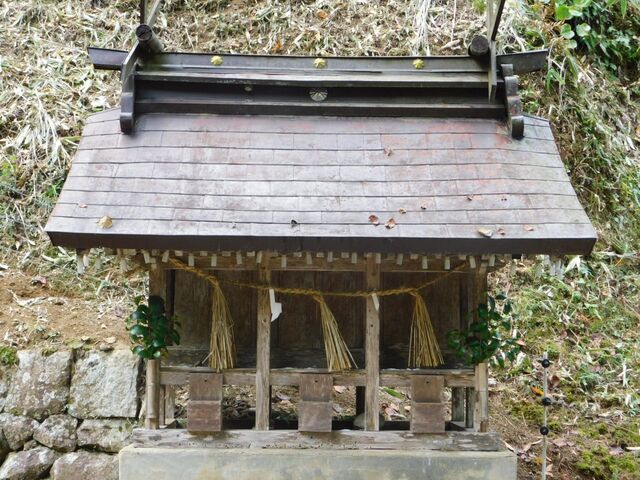 58aP_DSCN1303.jpg