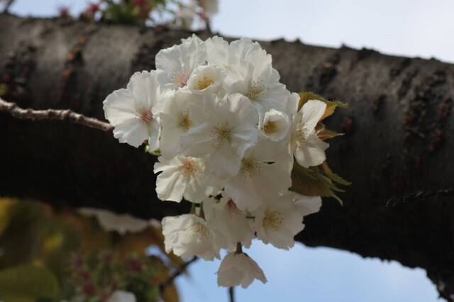 5UP_IMG_4875.jpg