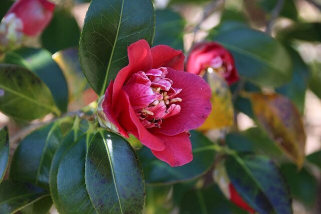 5UP_IMG_7172.jpg