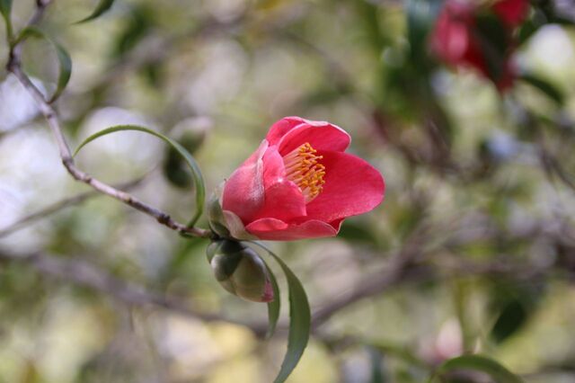 5UP_IMG_7621.jpg