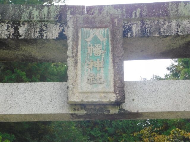 5aP_DSCN1347.jpg
