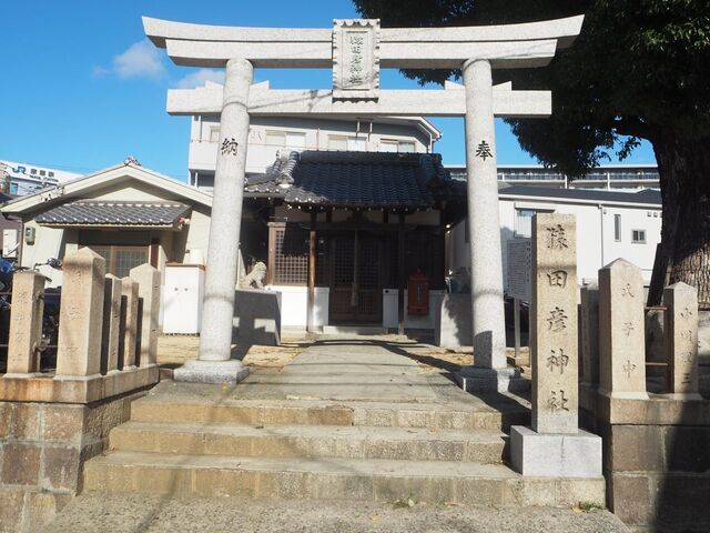 5aP_PB065771.jpg