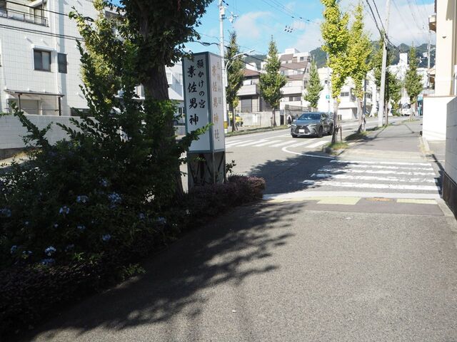 5aP_PB065864.jpg