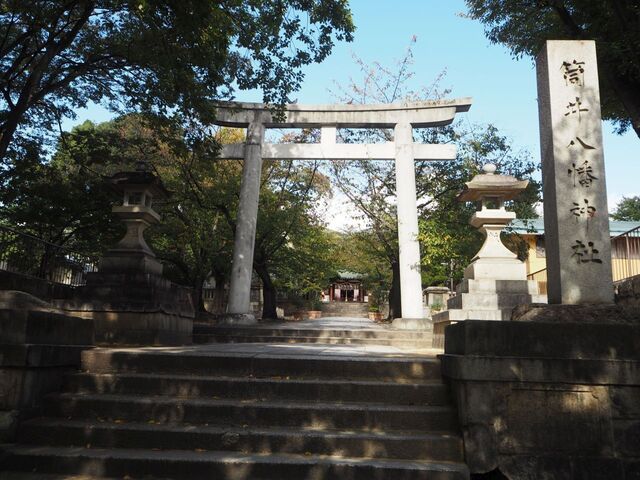 5aP_PB066105.jpg