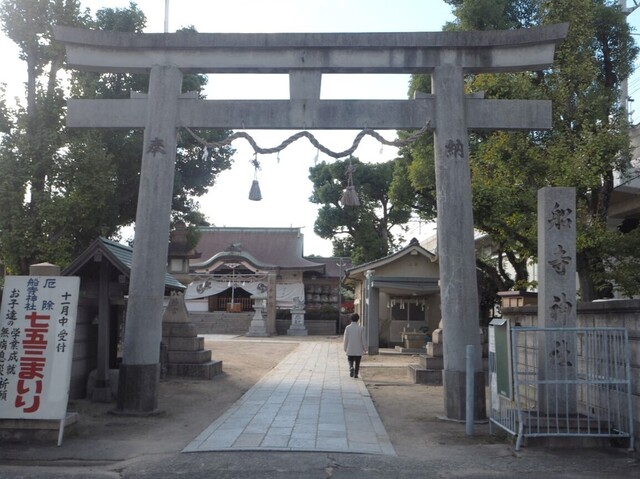 5aP_PB066464.jpg