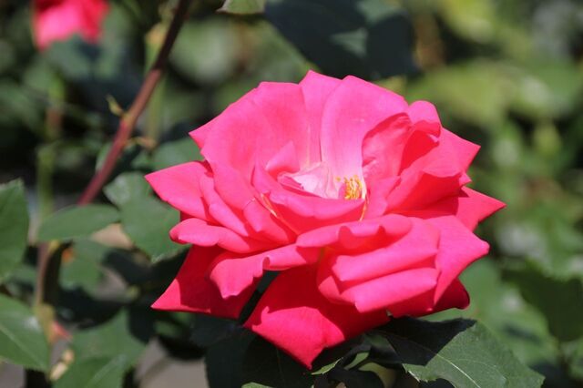 5bP_IMG_0720.jpg
