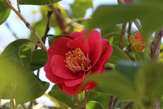 5bP_IMG_3495.jpg