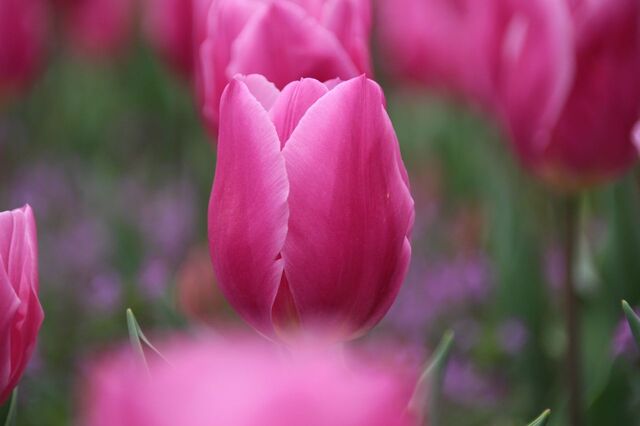 5bP_IMG_6081.jpg
