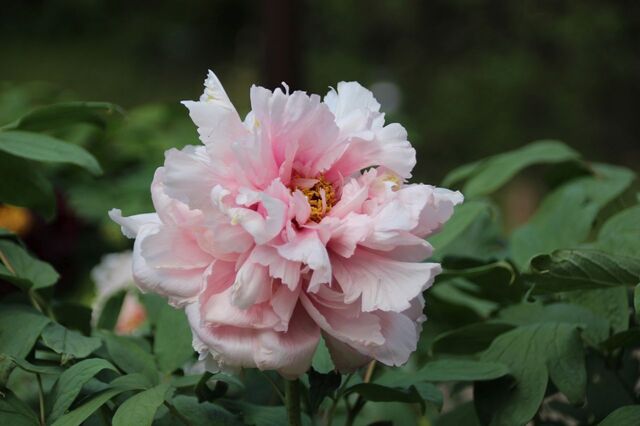 5bP_IMG_7510.jpg