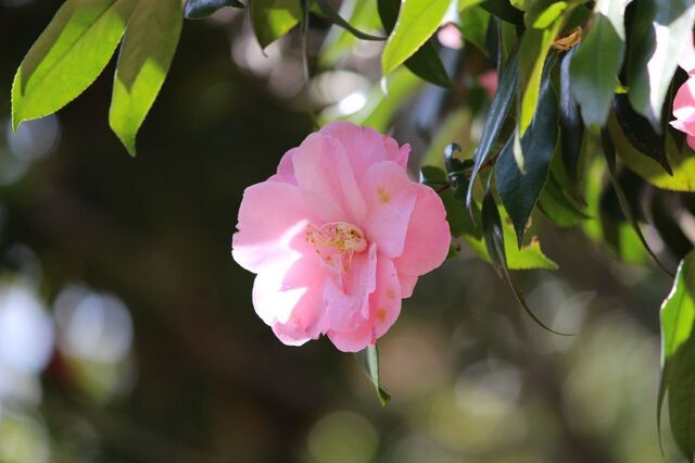 5uP_IMG_3713.jpg