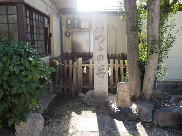 60aP_PB066021.jpg