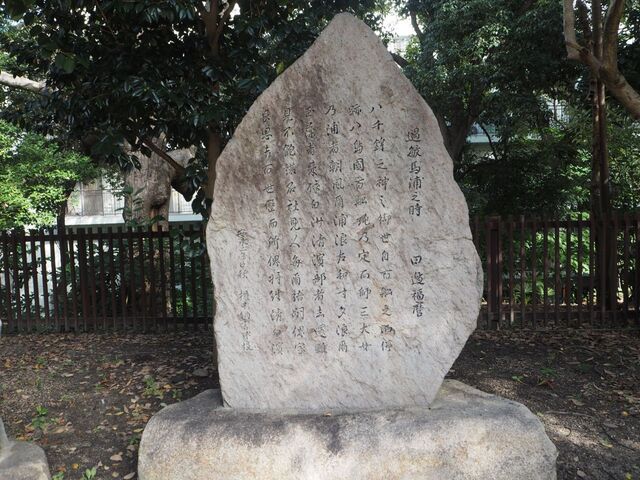 61aP_PB066336.jpg