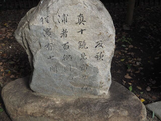 62aP_PB066340.jpg