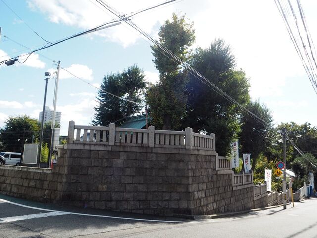 66aP_PB065986.jpg