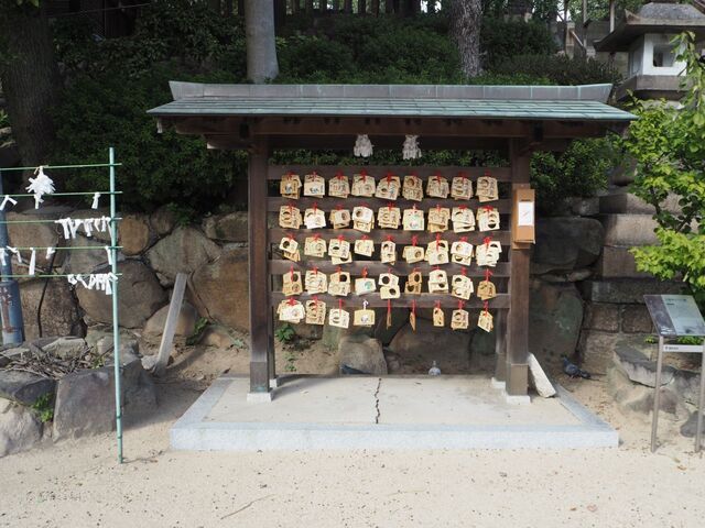 67aP_PB066287.jpg