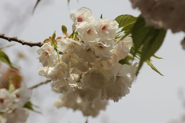 6UP_IMG_4303.jpg