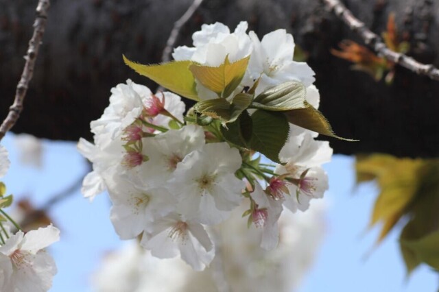 6UP_IMG_4877.jpg